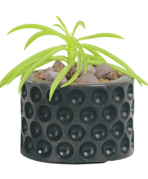 Mini Çiçek Saksı Küçük Sukulent Siyah Kaktüs Saksısı Puantiyeli Model